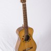 gallipoli-centenary-guitar.jpg